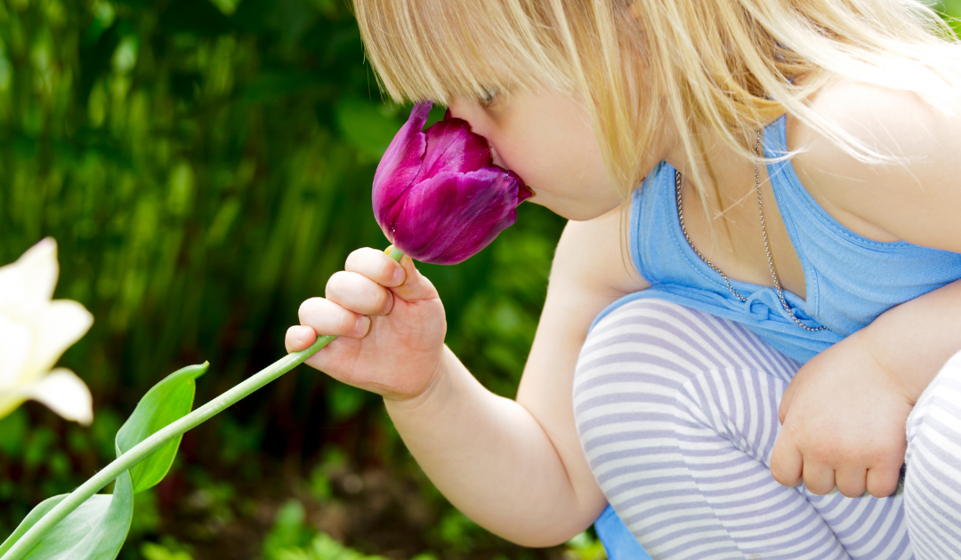 Les périodes sensibles : un outil précieux pour comprendre le développement de ton enfant